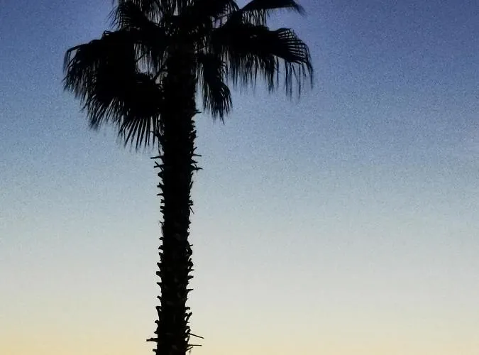 Appartement Mala Vala #1 - Seeview - 80 Qm - 2 Sz - 4 Pers *